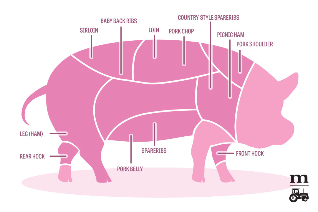 Pork Cuts